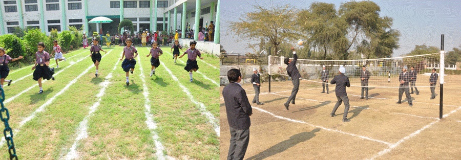 Sports & Athletics